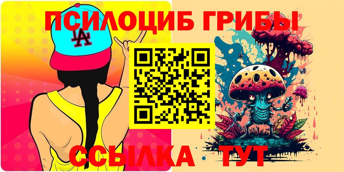 Галлюциногенные грибы Psilocybe  сколько стоит  Вход с VPN  Королёв  Галлюциногенные грибы Cubensis 