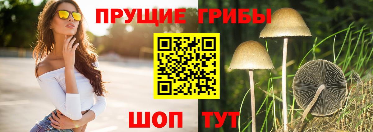 Псилоцибиновые грибы прущие грибы Королёв